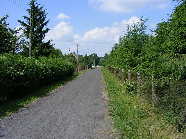 DSCF3511