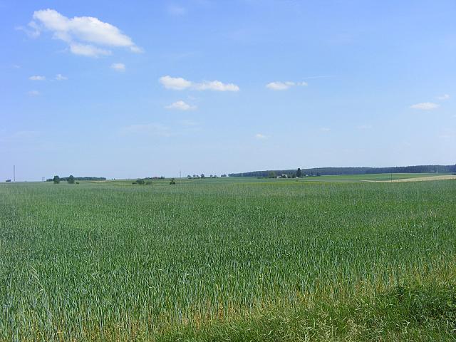 Ogorzeliny 023