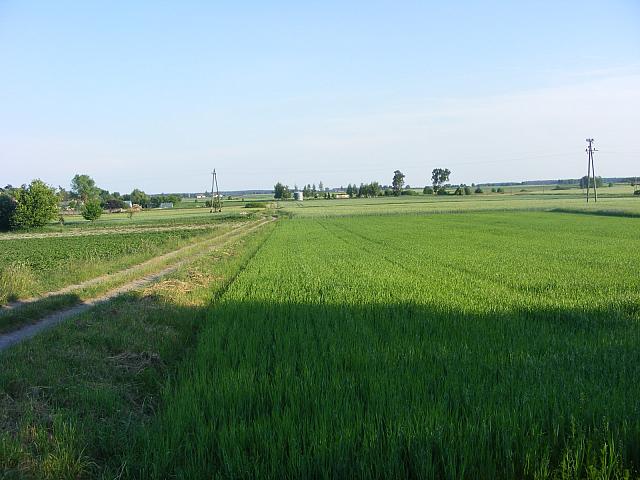 Ogorzeliny 081