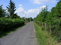 DSCF3511