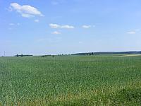 Ogorzeliny 023